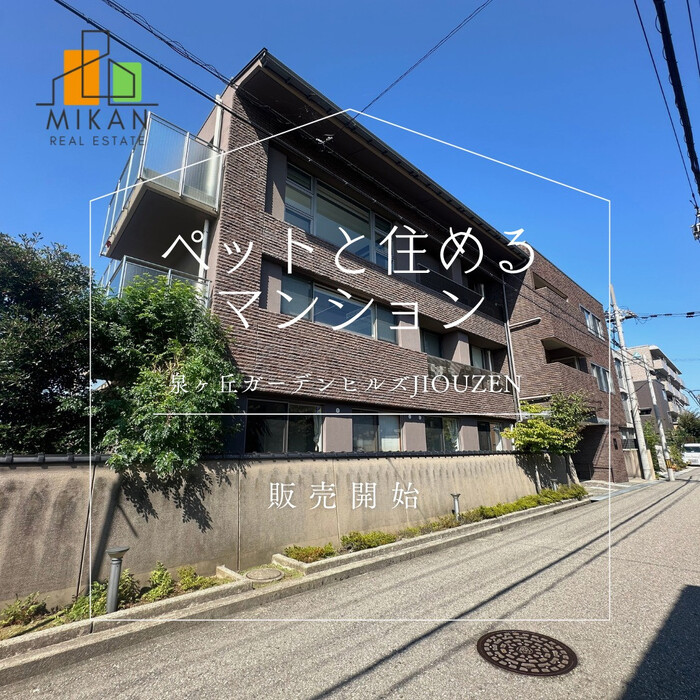 画像286