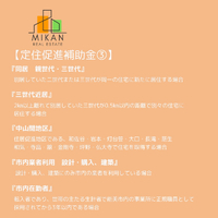 画像328