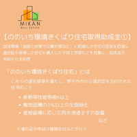 画像339