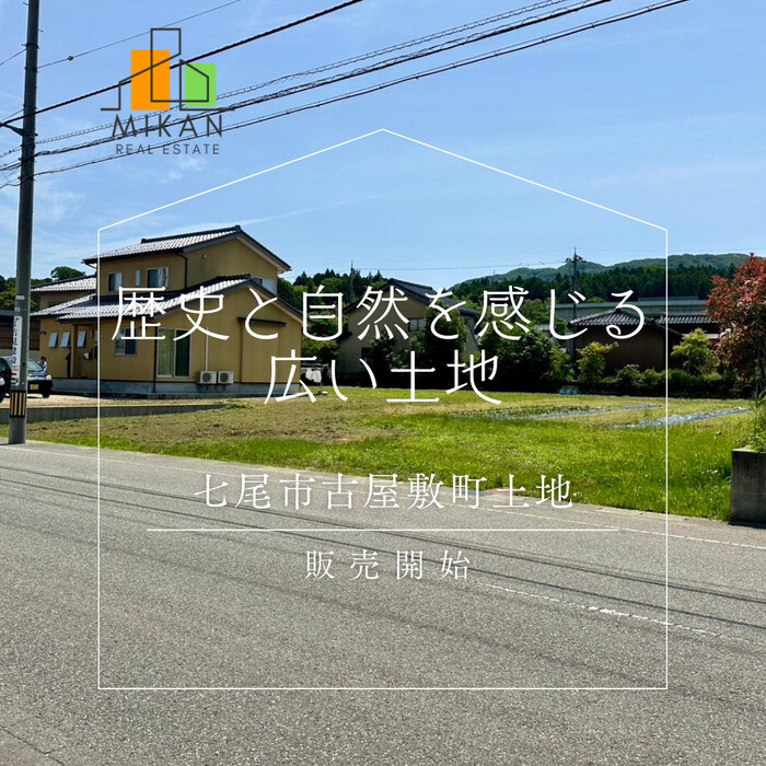 画像354