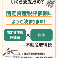 画像448